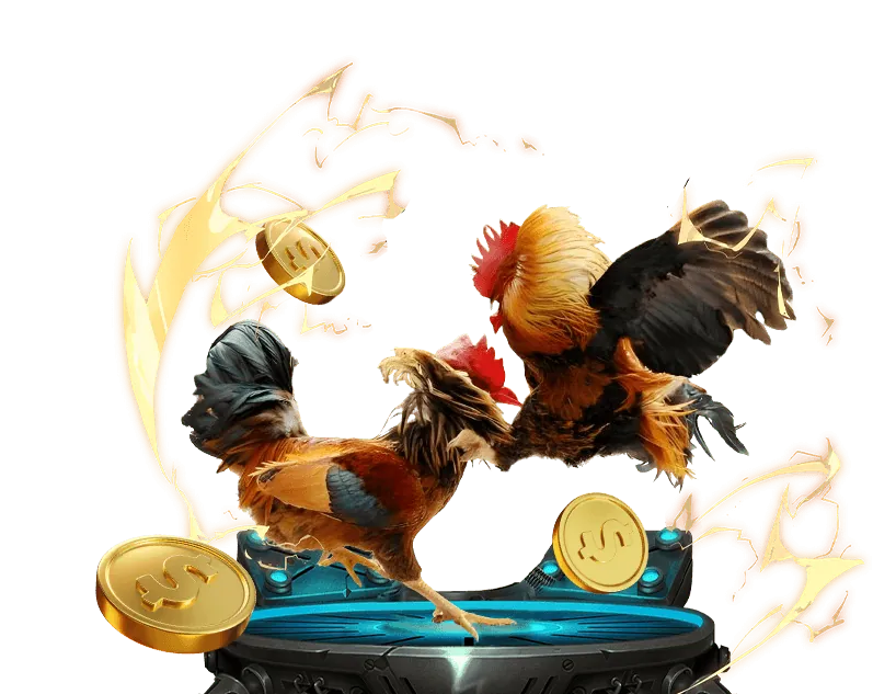 Đá gà Thomo kịch tính tại 50win